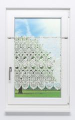 beige Vorschau Scheibengardine Plauener Spitze® - Kiran #1W weiss beige