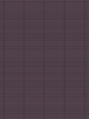 Preview RAL 4007 THIN 1