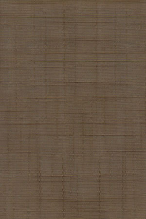 Preview Canopus 5507.1605 4