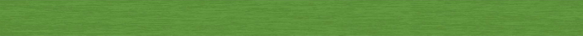 Detailansicht Bambusjalousie RAL 6018 Struktur