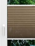 LYSEL HOME Plissee 235A Aralia Fensteransicht