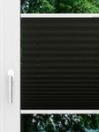 LYSEL HOME Plissee 202A Aralia BO Fensteransicht