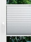 LYSEL HOME Plissee 121A Pinus BO Fensteransicht