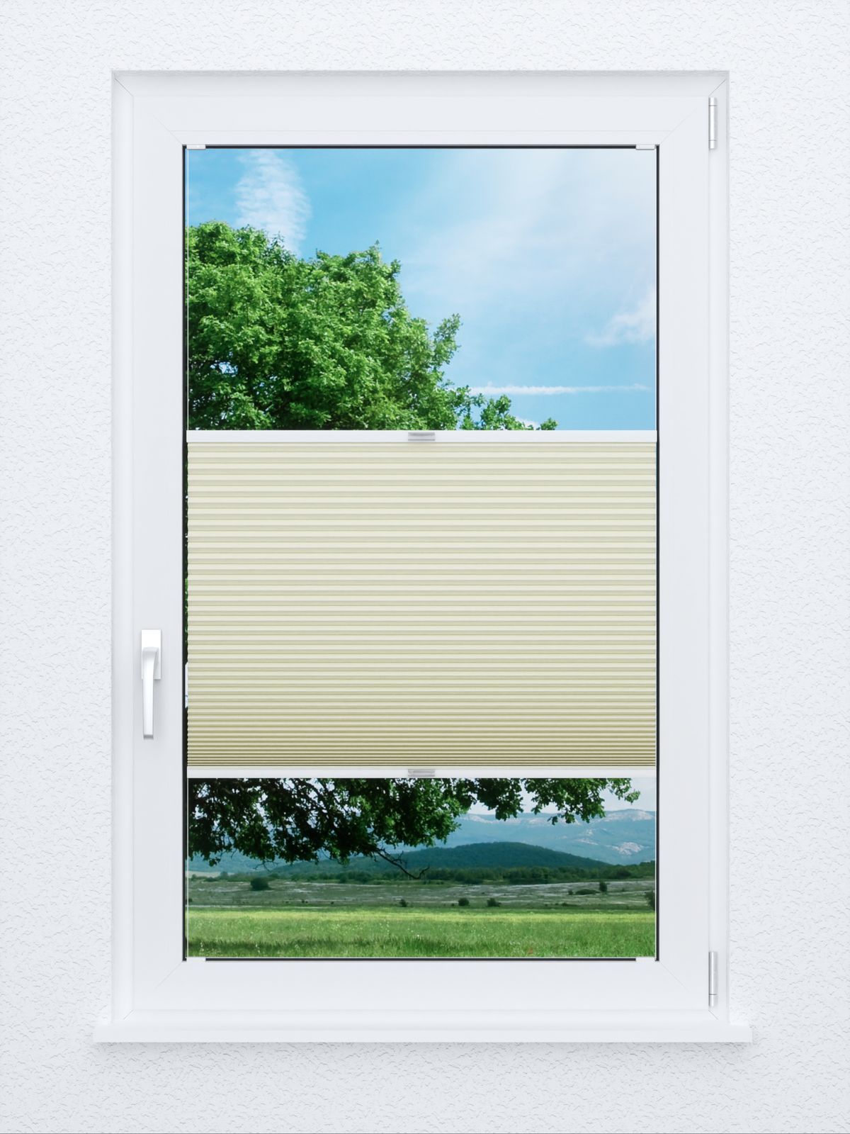 Detailansicht Evenly Comb LI 7203.7010