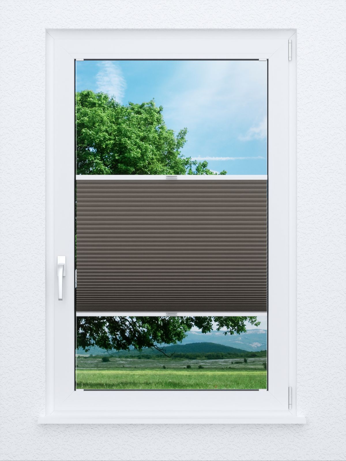Detailansicht Evenly Comb BO 9807.7015