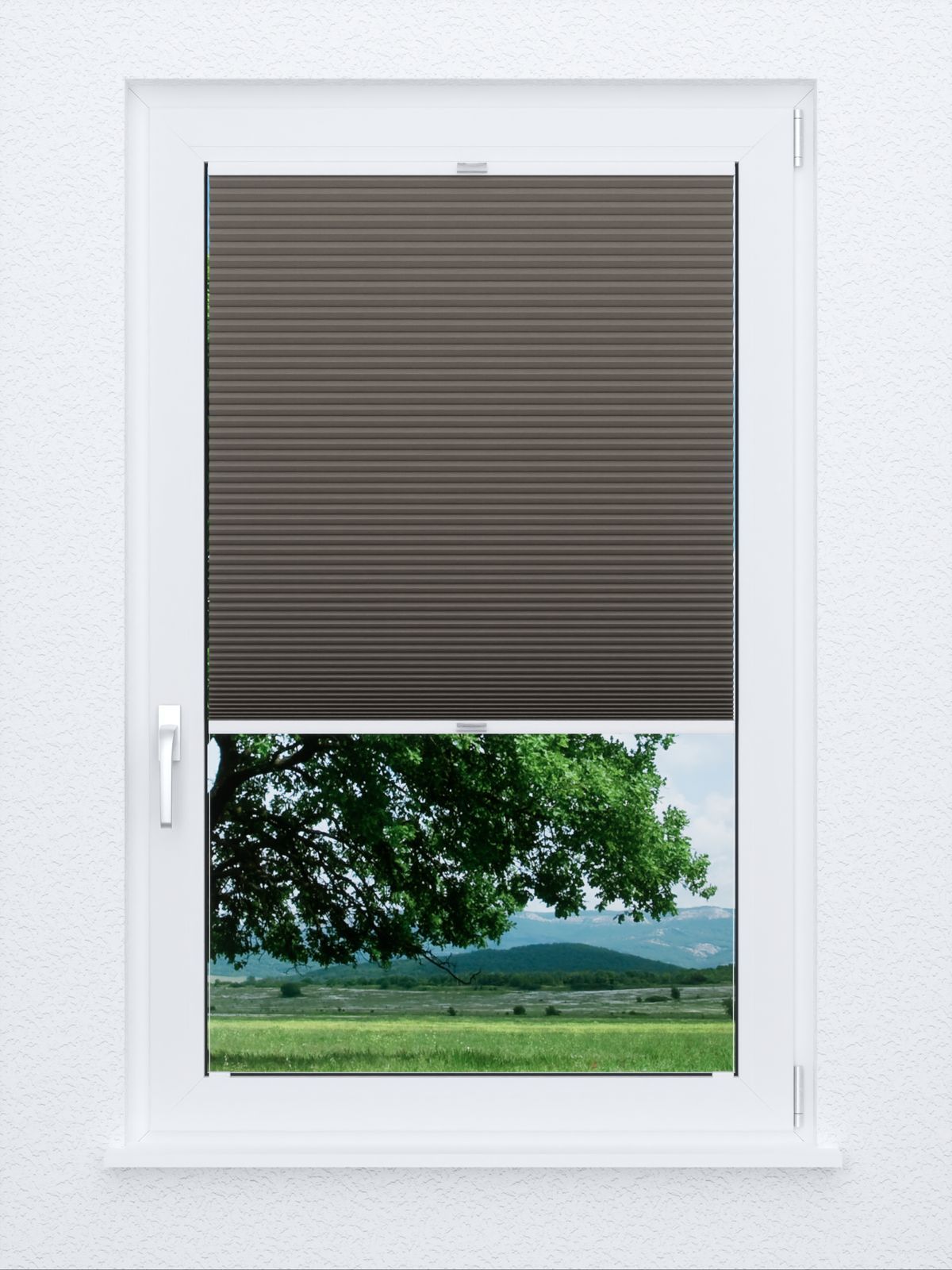 Detailansicht Evenly Comb BO 9807.7015