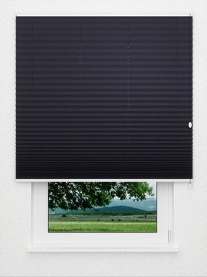 Preview Plissee Krepp Dark 4605.0913 3