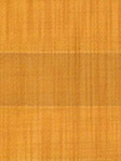 Plissee Cotton 3116.1356 Detailansicht