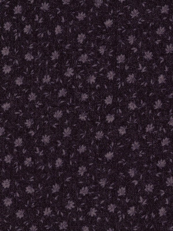 Detailansicht Rollo Adry 5505.3704